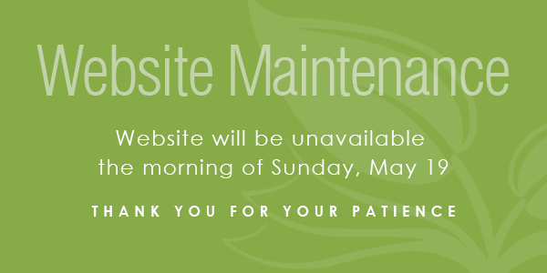 Website Maintenance Sunday Morning