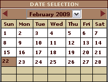 Date Selection Date Selection