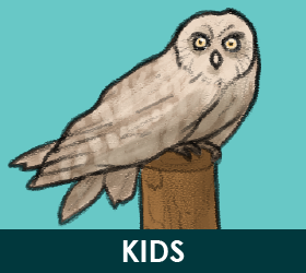 Kids Activities
