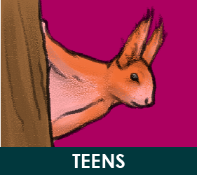 Teen Activities