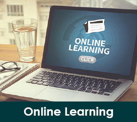 Online Learning